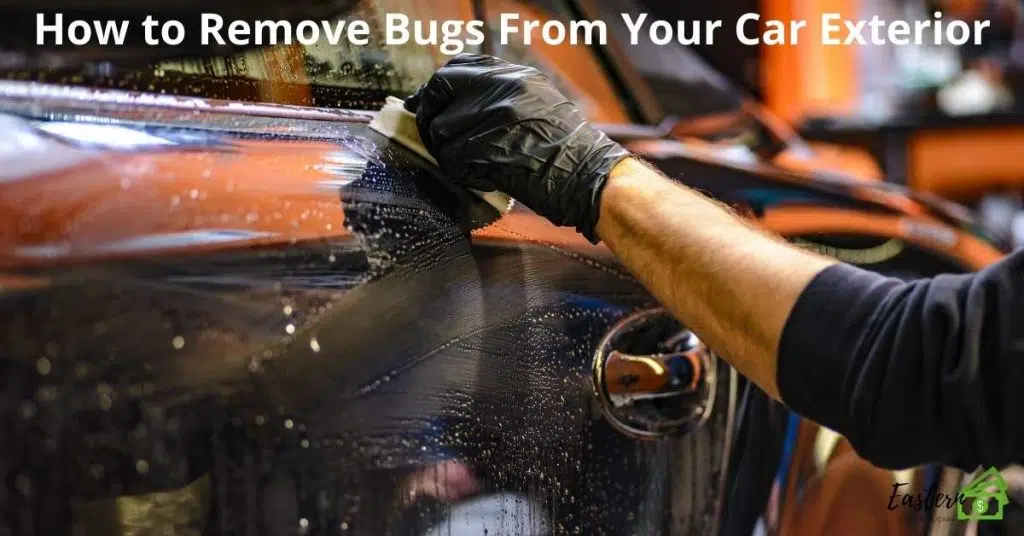 How to Remove Bugs From Your Car Exterior