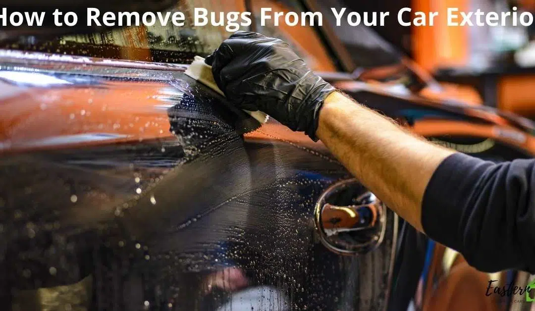 How to Remove Bugs From Your Car Exterior