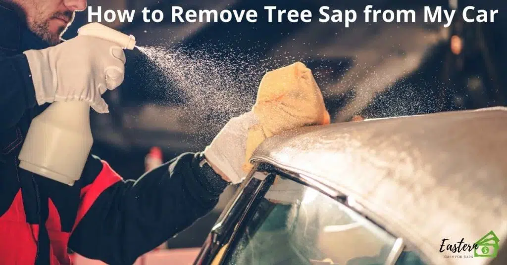 How to Remove Tree Sap from My Car