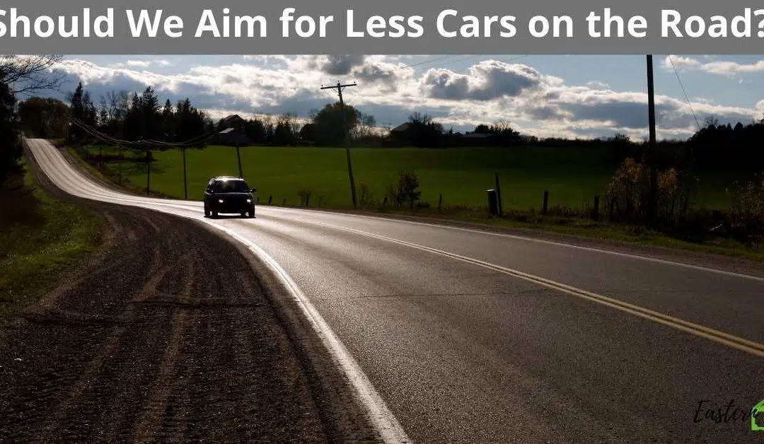 Should We Aim for Less Cars on the Road?