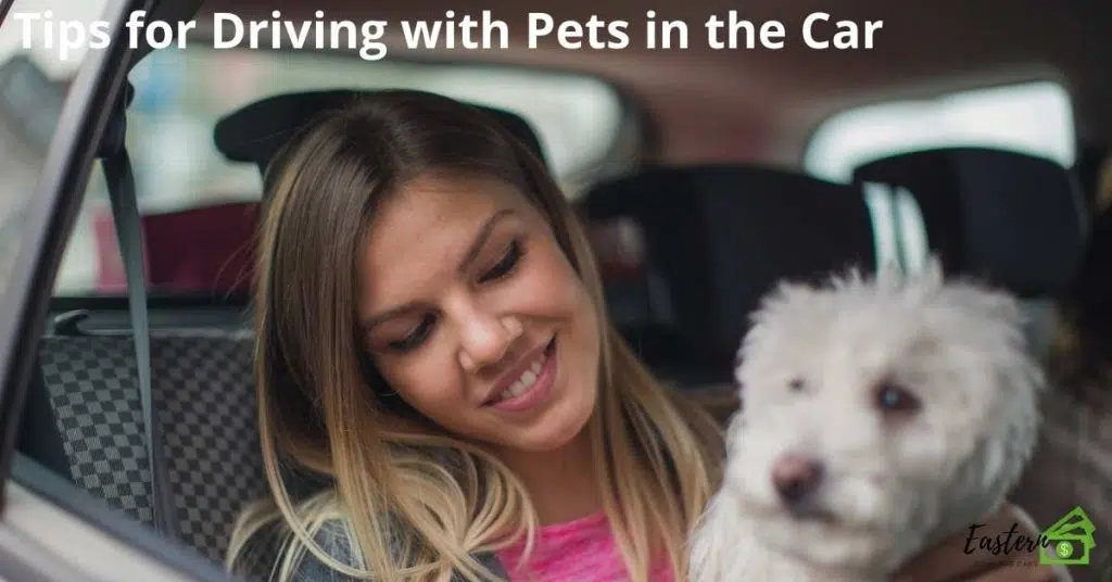 Tips for Driving with Pets in the Car