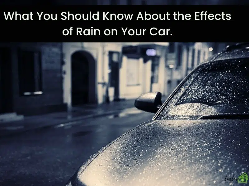 What You Should Know About the Effects of Rain on Your Car. What You Should Know About the Effects of Rain on Your Car.