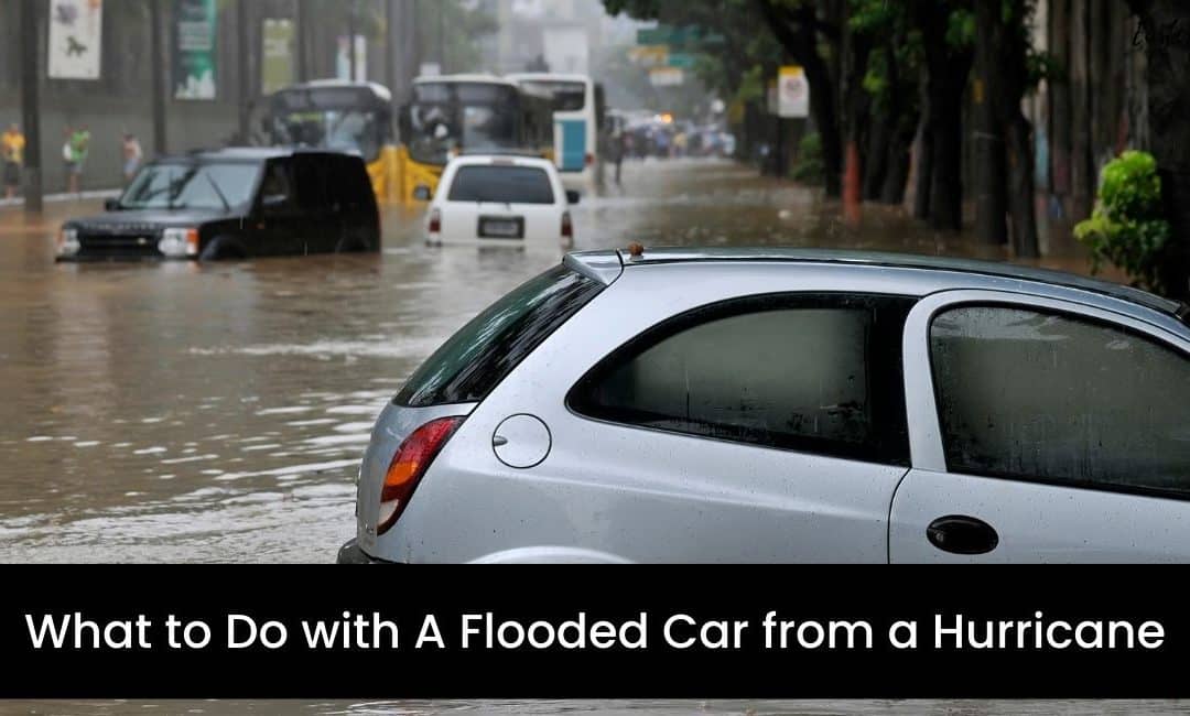 What to Do with A Flooded Car from a Hurricane