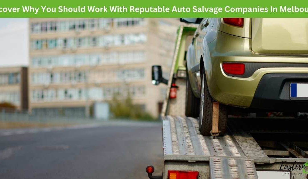 Discover Why You Should Work With Reputable Auto Salvage Companies In Melbourne