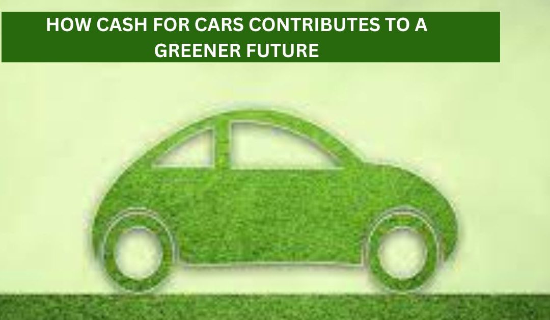 Sustainable Transportation: How Cash for Cars Contributes to a Greener Future